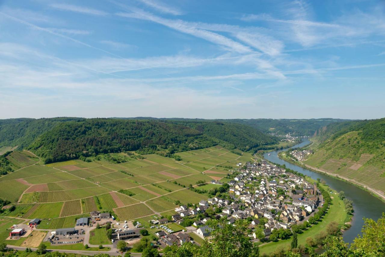 Апартаменты Ferienweingut Gansen Hochgenuss 2 Эрнст Экстерьер фото